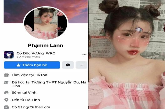 pham-lan-quyen-ru-voi-ky-nang-du-chang-ai-bi